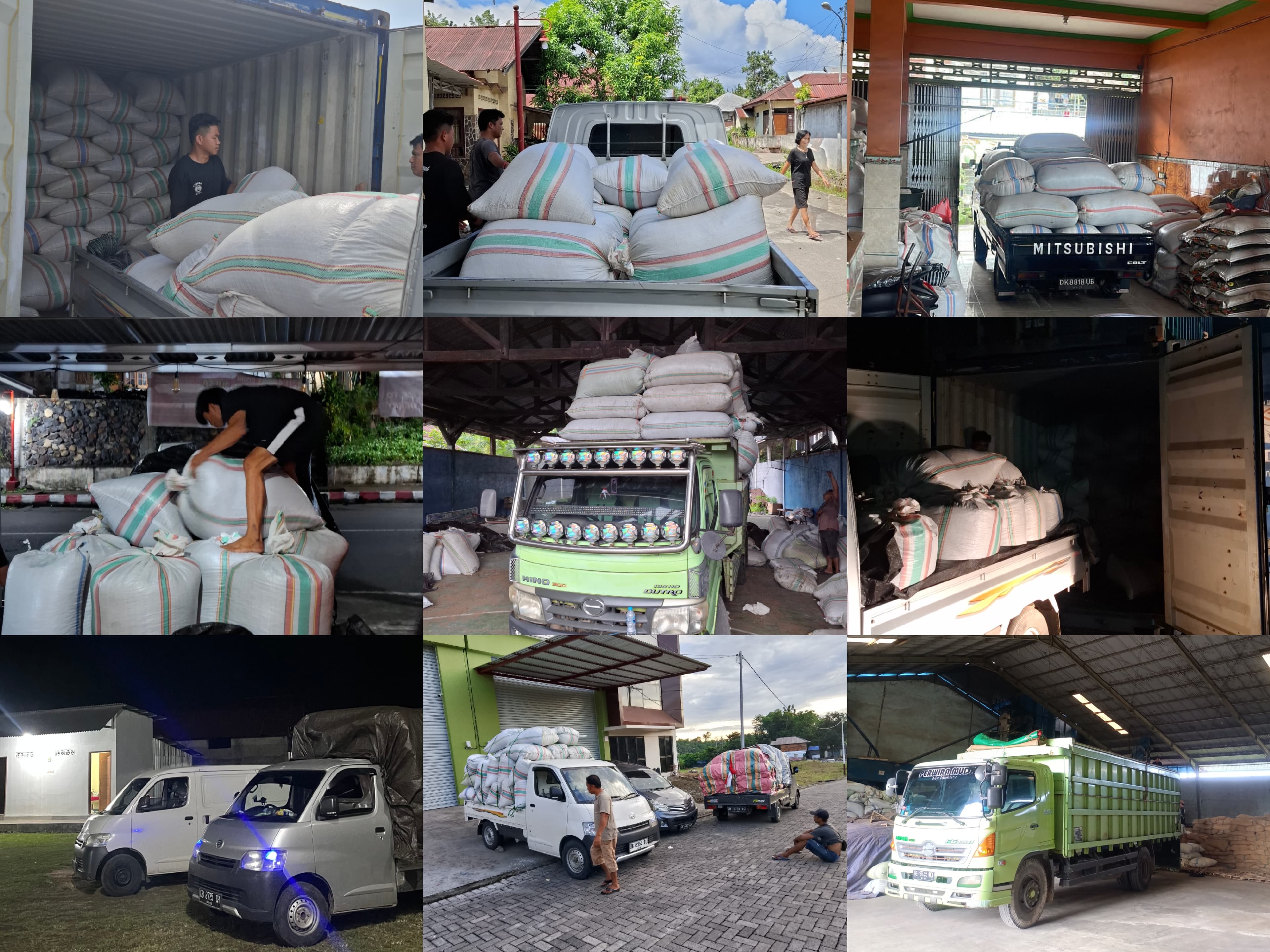 Logistics & Export