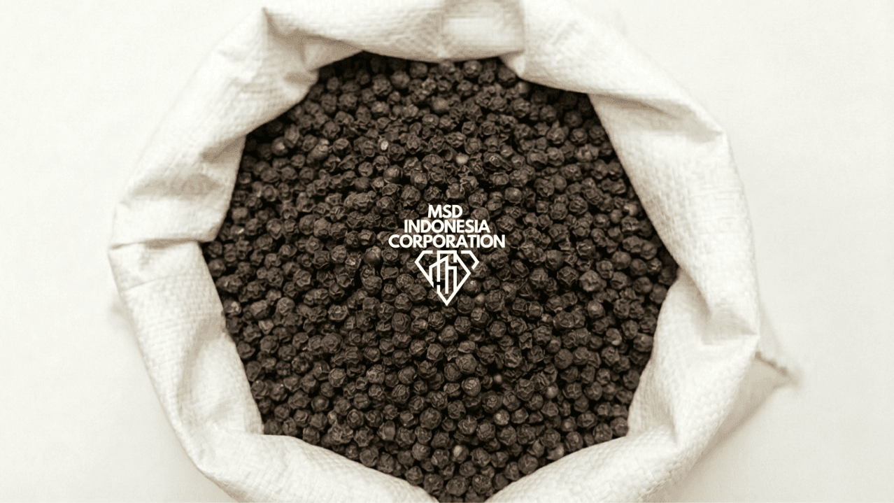 Black Pepper thumbnail 2