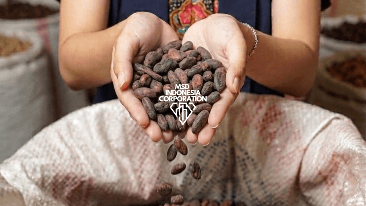 Cacao Beans - Image 1
