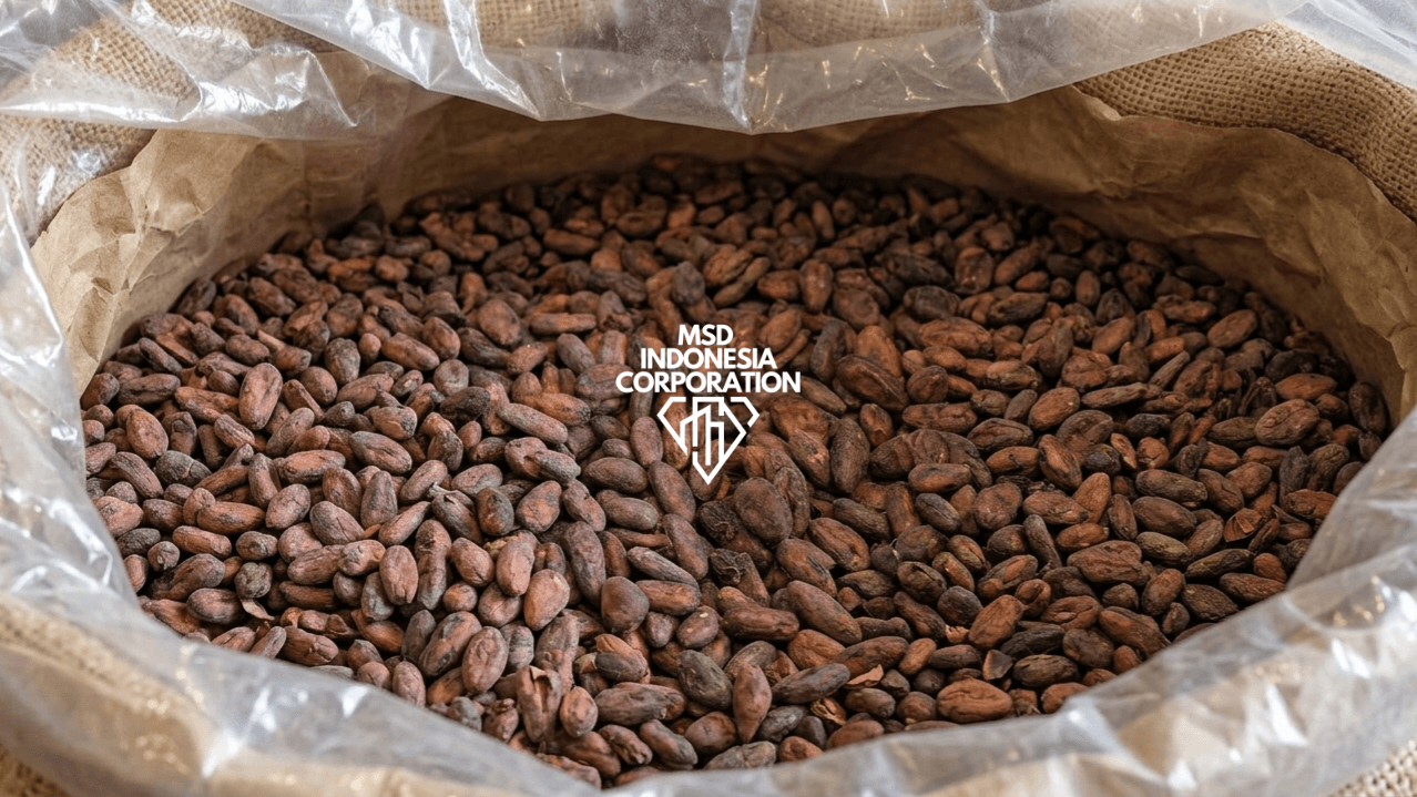 Cacao Beans thumbnail 2