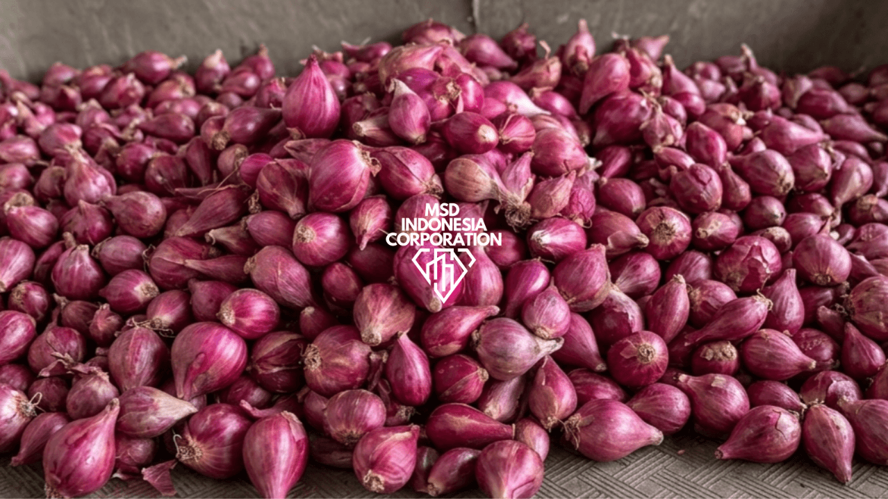 Shallot thumbnail 3