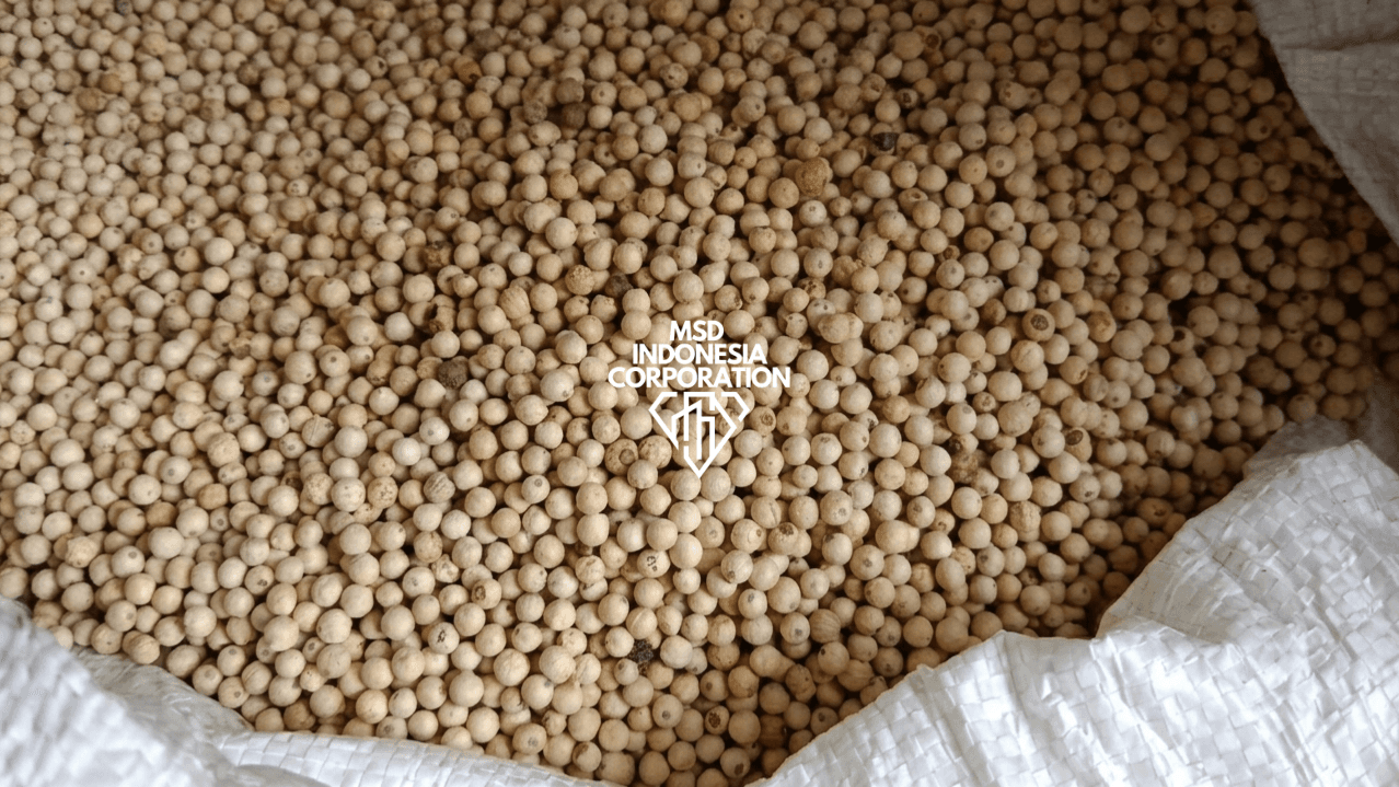 White Pepper thumbnail 2